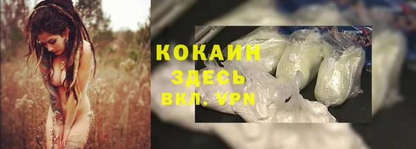 ПСИЛОЦИБИНОВЫЕ ГРИБЫ Киренск